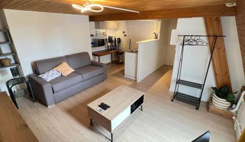 Studio with Sofa Bed