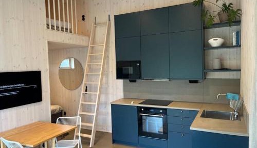 One-Bedroom Apartment with loft