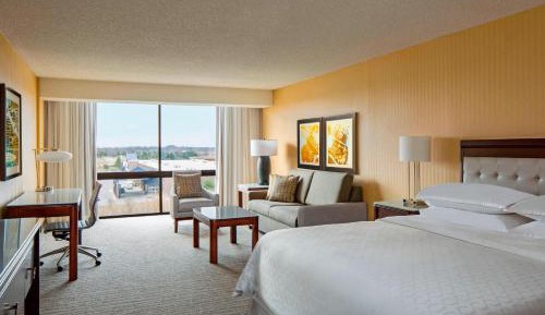 Junior King Suite with Sofa Bed