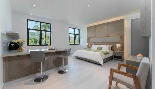 Standard King Room