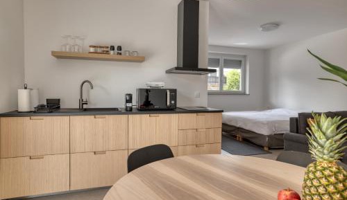 Apartment with Terrace