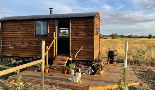 Mobile Home