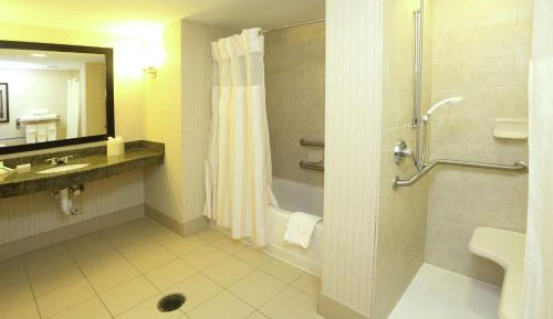 Deluxe King Suite with Shower - Mobility and Hearing Access
