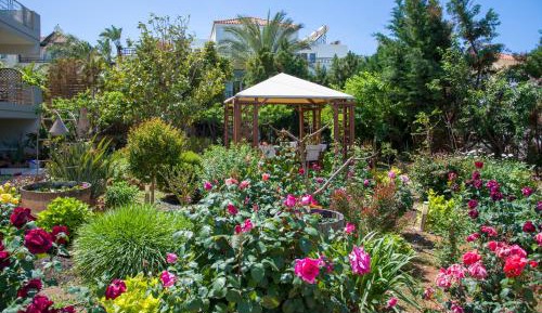 Apartment with Garden View