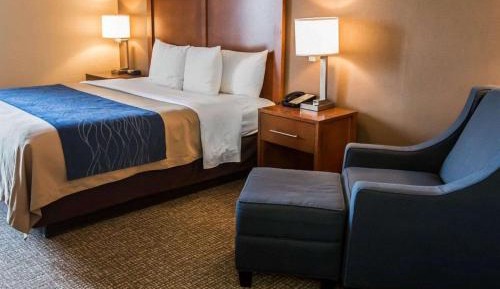 King Suite with Sofa Bed - Non-Smoking