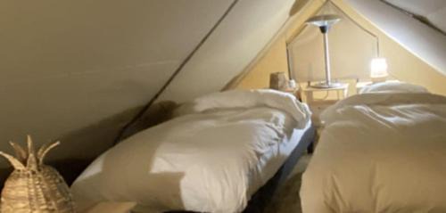 Deluxe Queen Suite