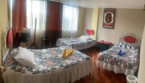 Basic Triple Room with Shared Bathroom