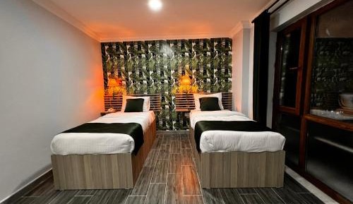 Standard Single Room with Mountain View