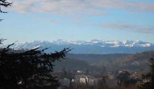 Studio with Mountain View