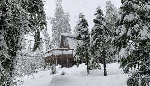 Three-Bedroom Chalet