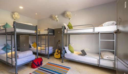 Bed in 6-Bed Mixed Dormitory Room