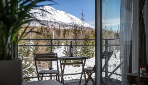 Apartment with Mountain View