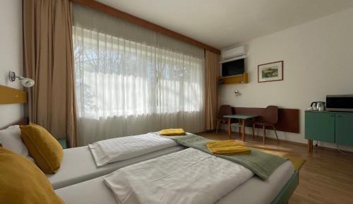 Superior Large Twin Room