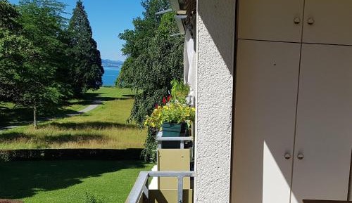 Superior One-Bedroom Apartment with Balcony