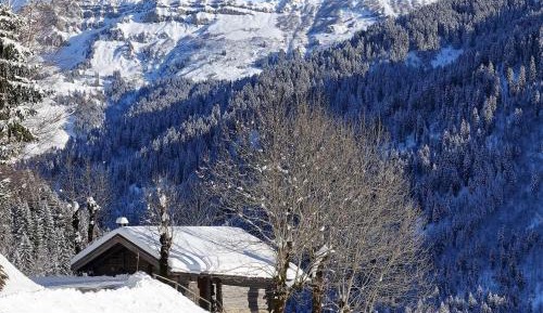 Chalet (6 Adults)