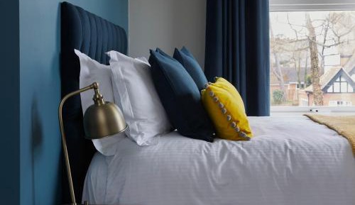 Deluxe King Suite