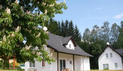 Four-Bedroom House with Sauna