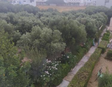 Studio with Garden View
