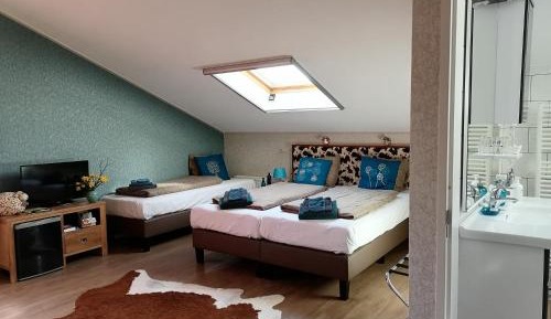 Comfort Twin Room