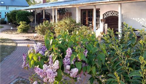 One-Bedroom Holiday Home