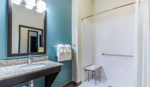 King Room with Roll-In Shower - Accessible/Non-Smoking