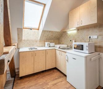 Apartment with Mountain View
