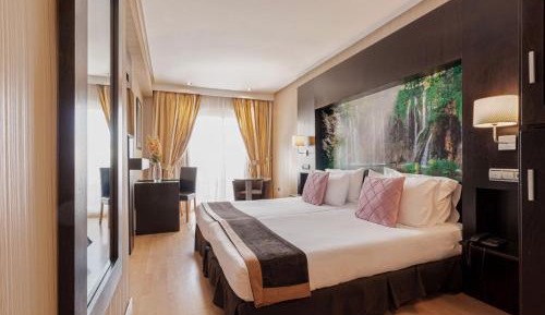 Premium Double or Twin Room