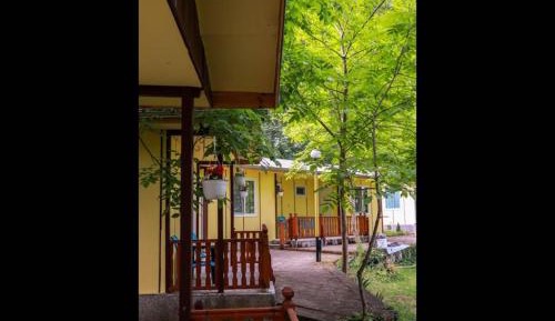 Bungalow