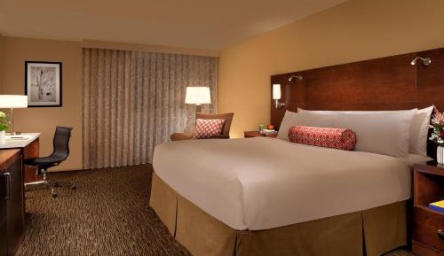 Standard King Room