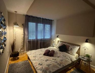 Deluxe Apartment