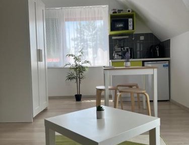 Apartment with Terrace