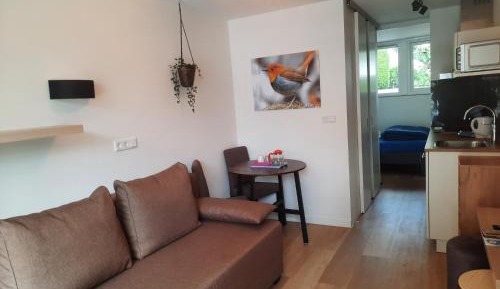 Studio with Terrace