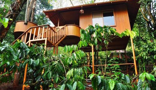 Tree House