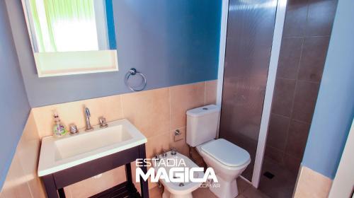 Studio with Garden View