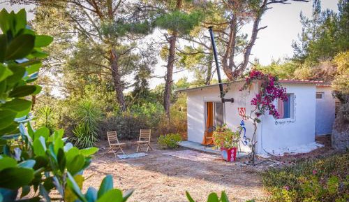 Cottage with Garden View