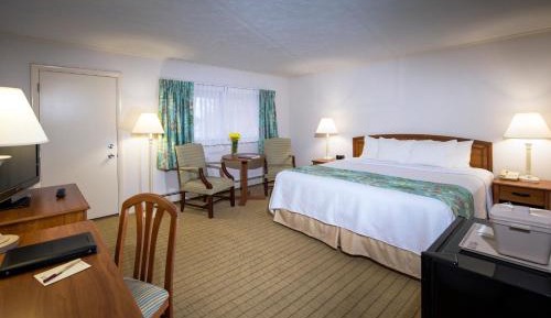 Double Room - Disability Access