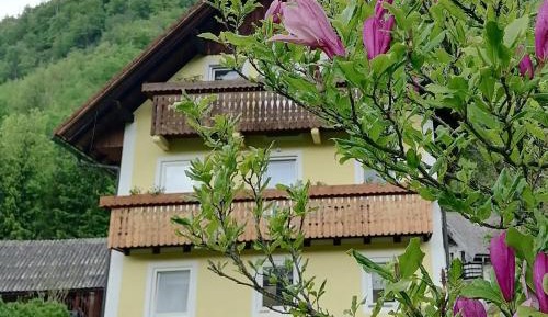 Apartment with Garden View