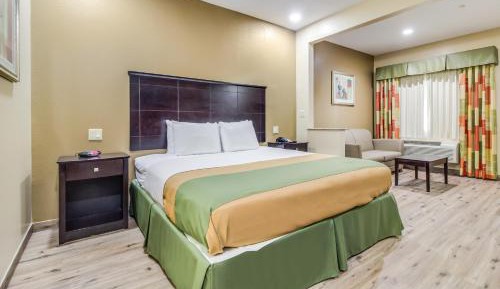 King Room with One King Bed