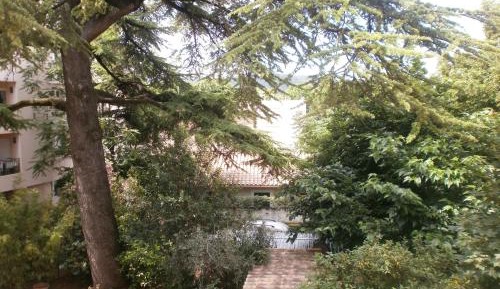 Superior Double Room with Garden View