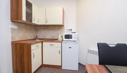 Standard Studio (2 Adults) - basement