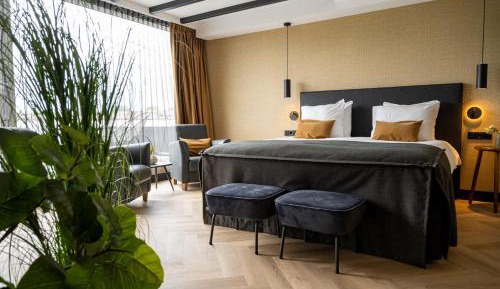 Junior Suite Loft