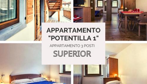 Superior Apartment