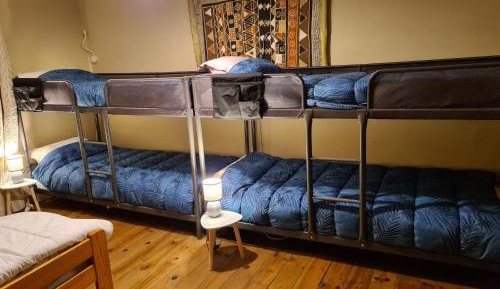 Bunk Bed in Mixed Dormitory Room