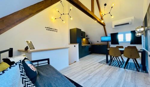 Duplex Apartment