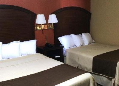 Double Room with Two Double Beds