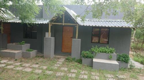 Standard Studio