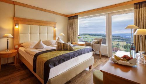 Deluxe Double Room with Panorama View