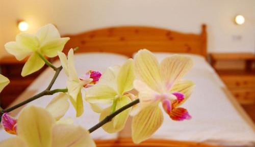 Double Room "A"