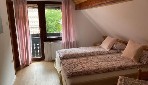 Double Room with Balcony