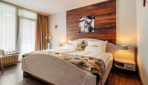 Comfort Plus Double Room